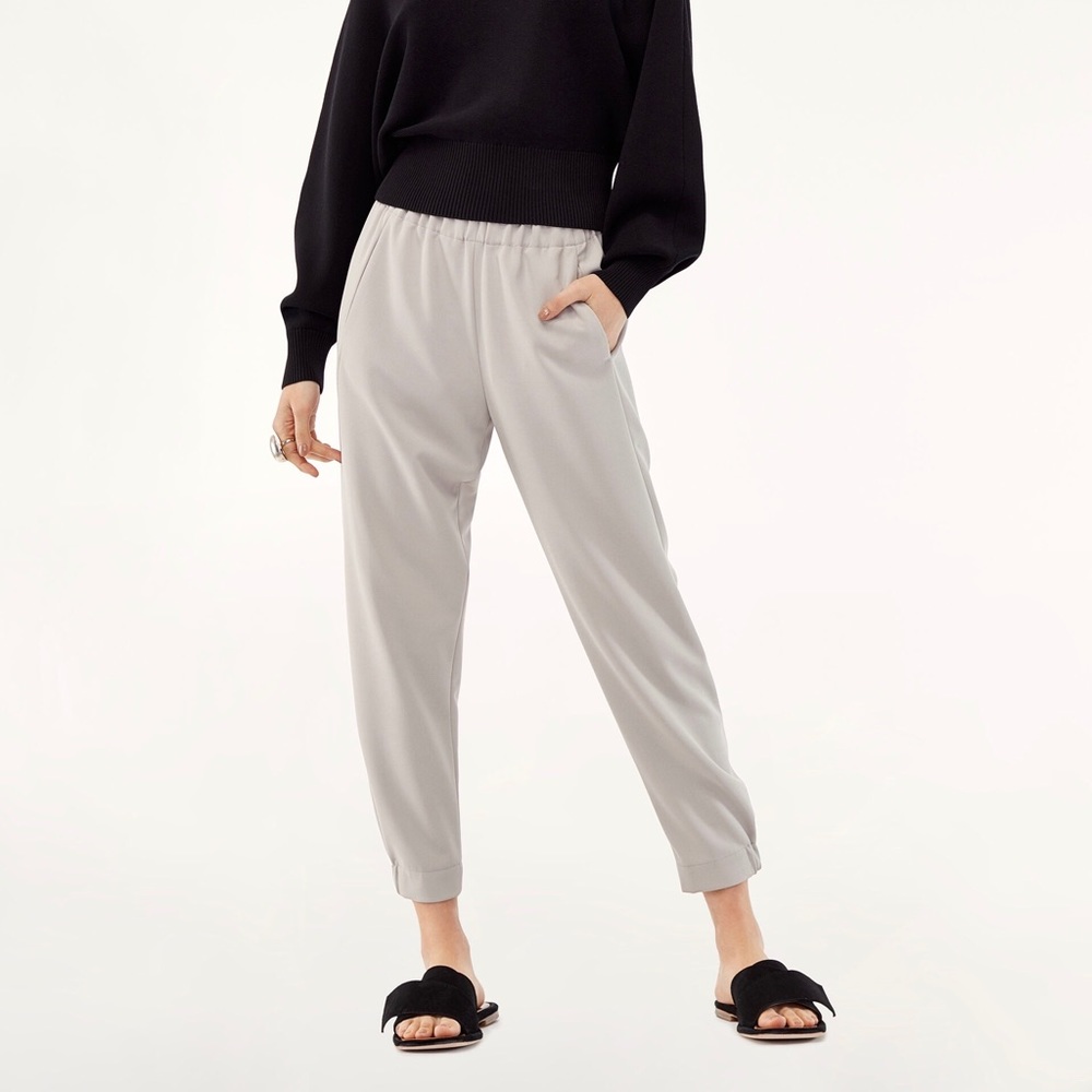 Aritzia/Babaton Dexter trousers